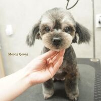 画像2553
