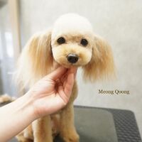 画像2567