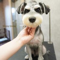 画像2571