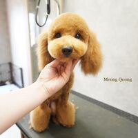 画像2577