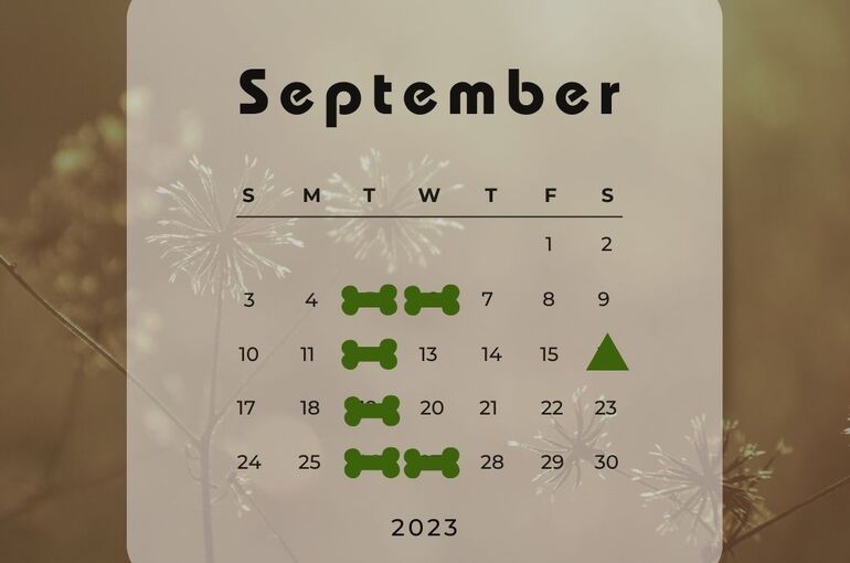 9月休み