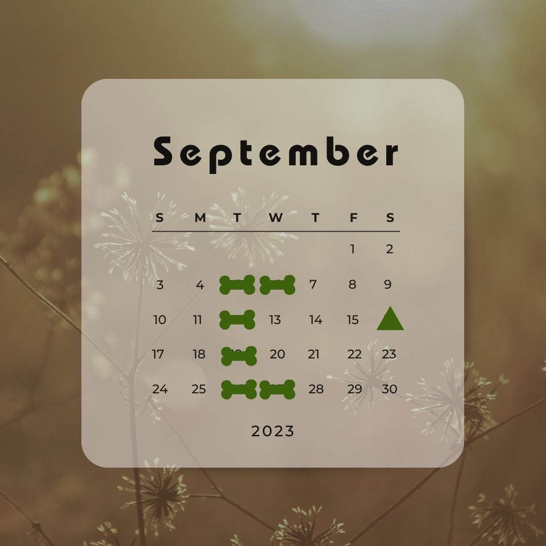 9月休み