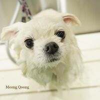 画像2638