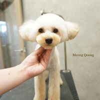 画像2677