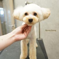 画像2678