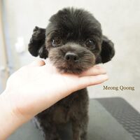 画像2681