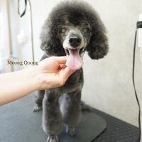 画像2690