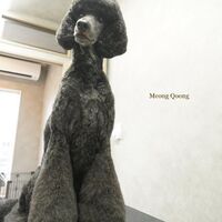 画像2693