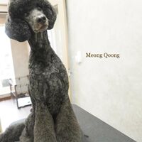 画像2694