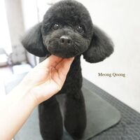画像2707