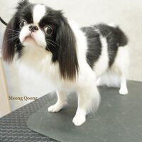 画像2713