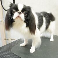 画像2714