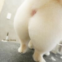 画像2728
