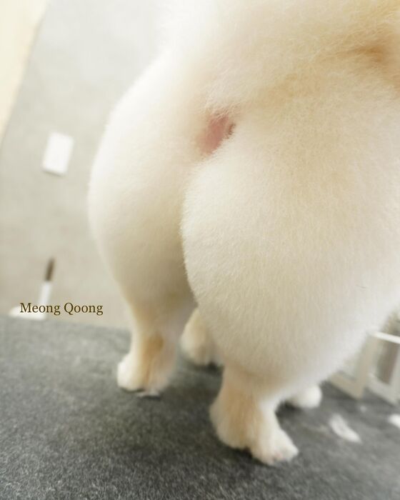 画像2728