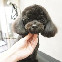 画像2731