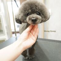 画像2733