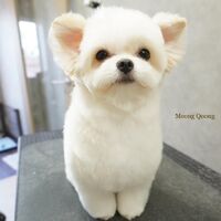 画像2740