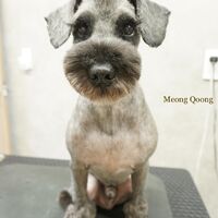 画像2766