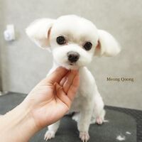 画像2773