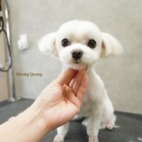 画像2774
