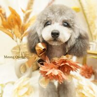 画像2779