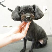 画像2788