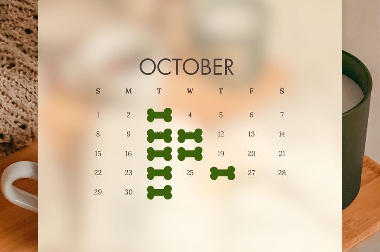 10月休み