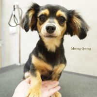 画像2823