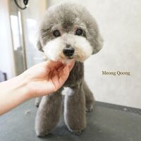 画像2830