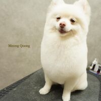 画像2877