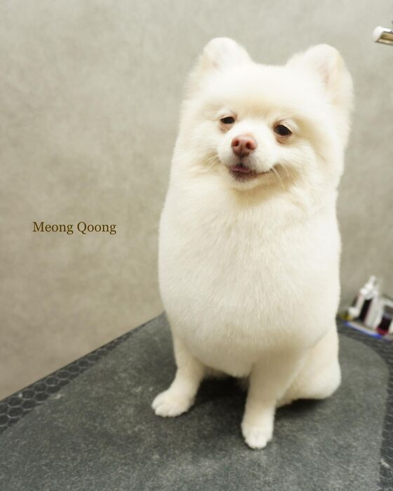 画像2877