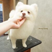 画像2878