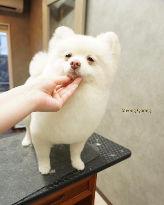 画像2878