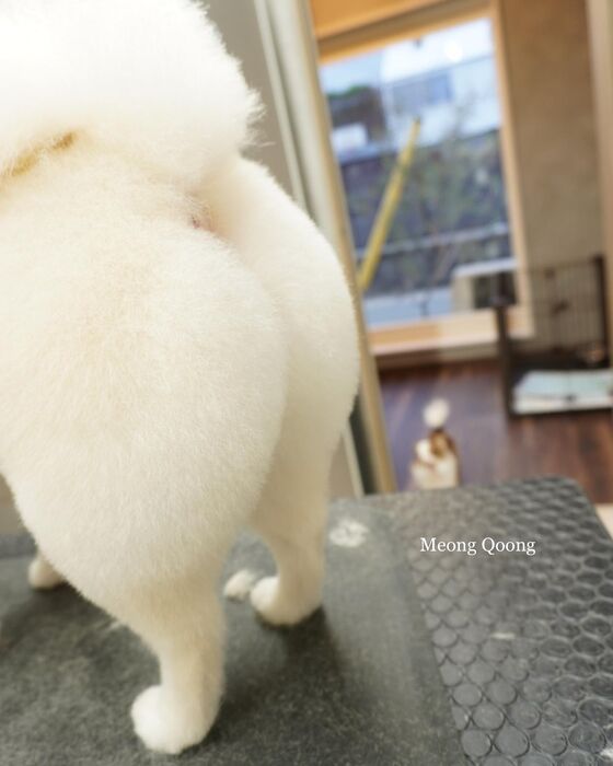 画像2879