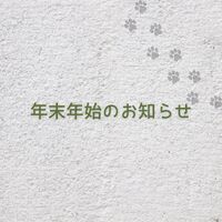 画像2884