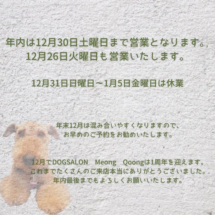 画像2885