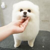 画像2889