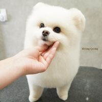 画像2890