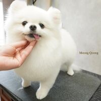 画像2895