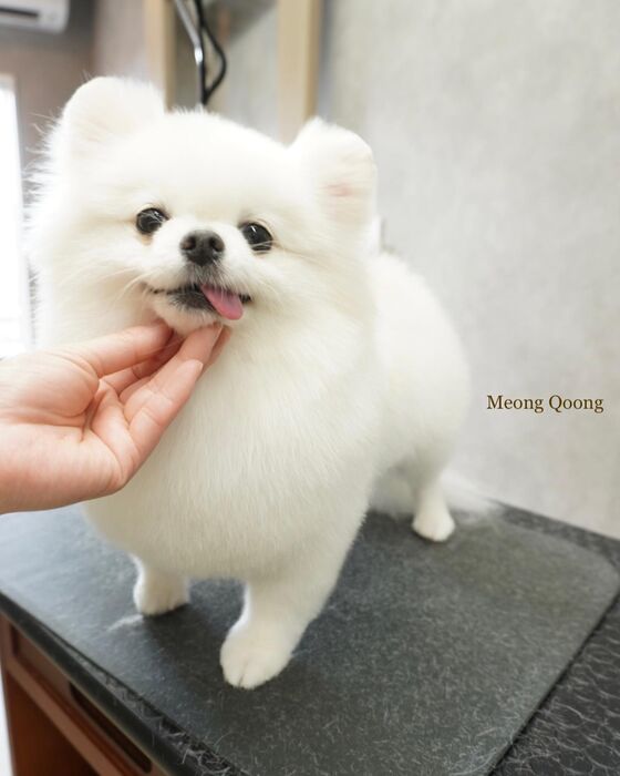 画像2895