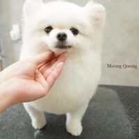 画像2896