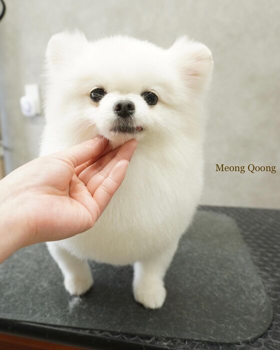 画像2896