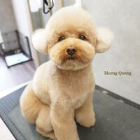 画像2924