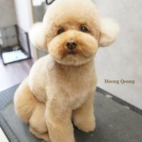 画像2925