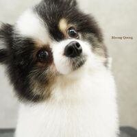 画像2935