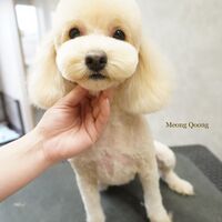 画像2939