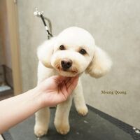 画像2955