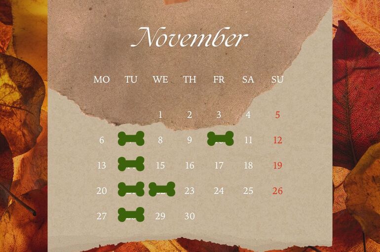 １１月休み