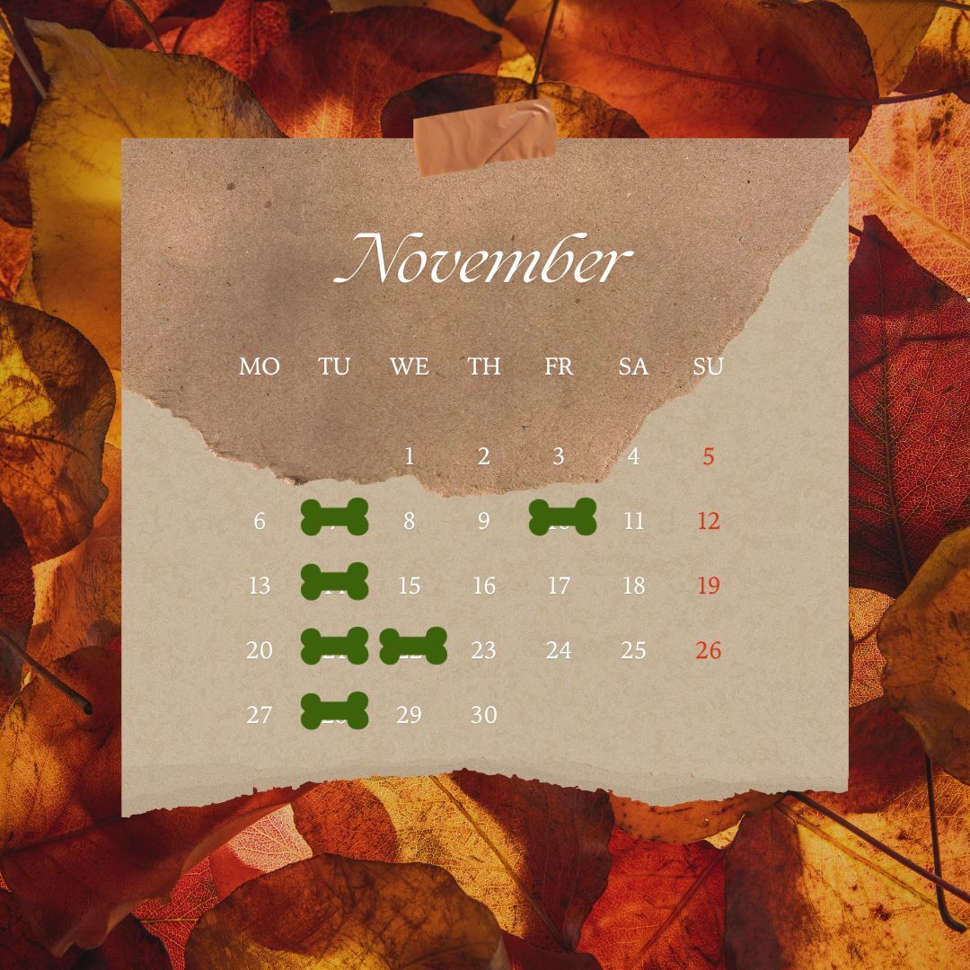 １１月休み