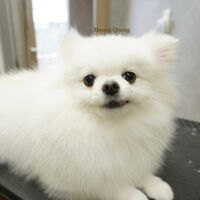 画像3093